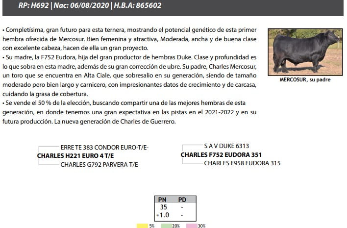Lote TERNERAS PP Se vende la elección de 1, EL 50%