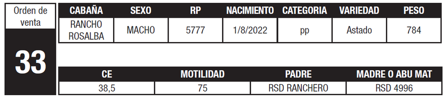 Lote LOTE 33