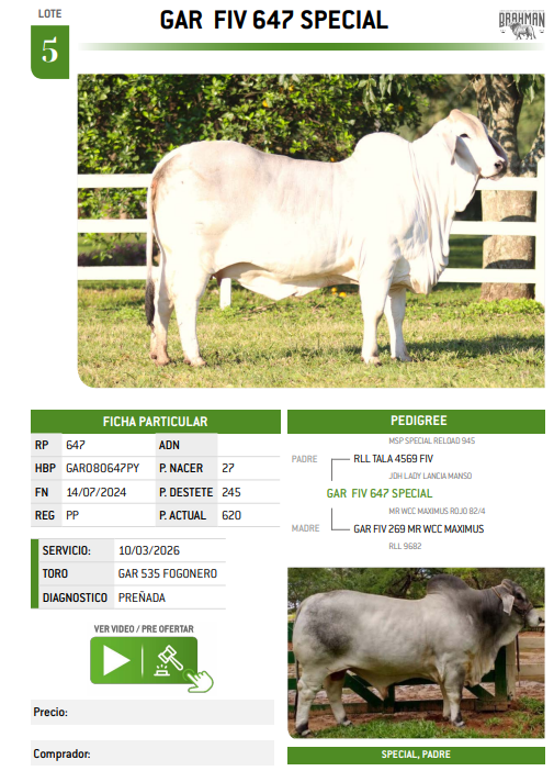 Lote LOTE 5