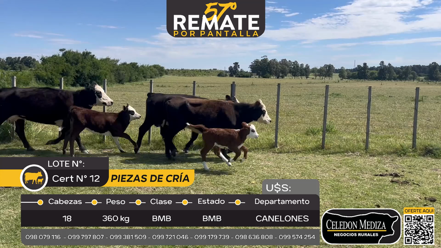 Lote 18 Piezas de cría en Otra Localidad, Canelones