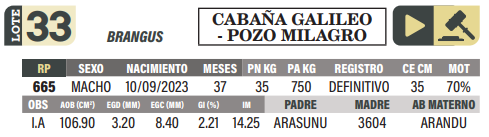 Lote LOTE 33