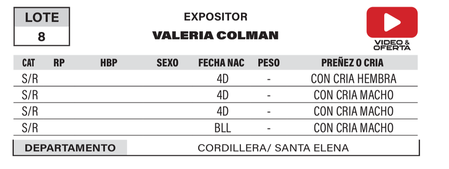 Lote LOTE 8- POR PANTALLA