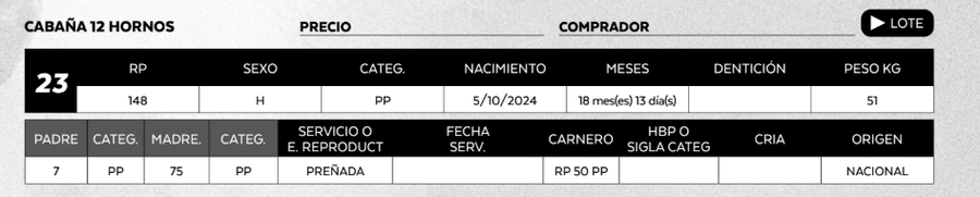 Lote LOTE 23