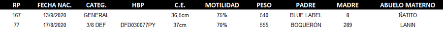 Lote LOTE 62 - DUO