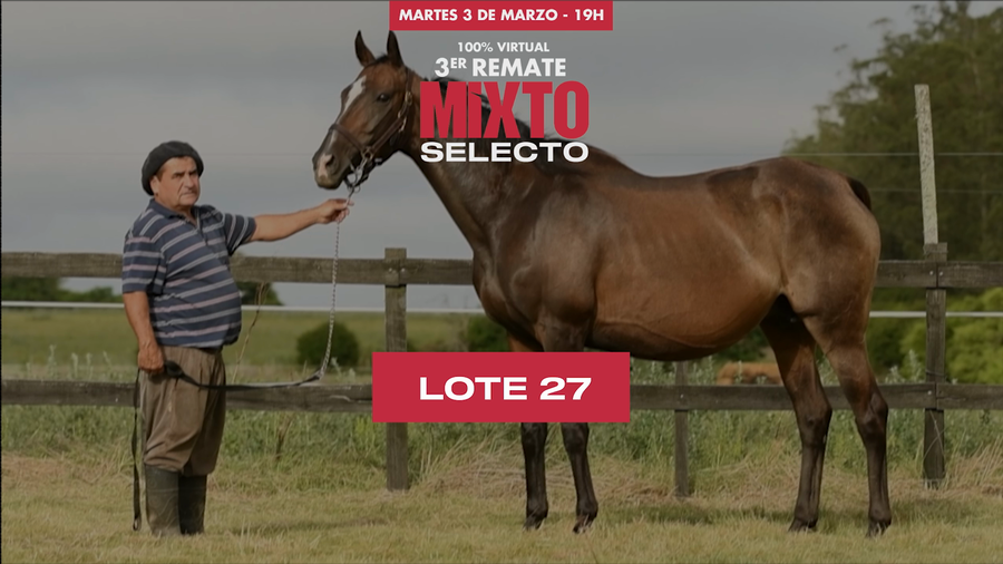 Lote ANUSKA (ARG)