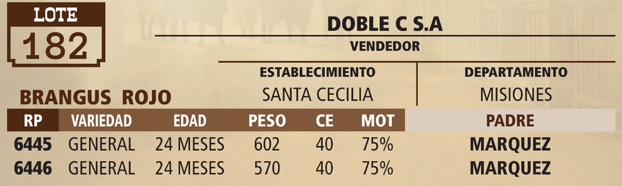 Lote LOTE 182 - VIVO