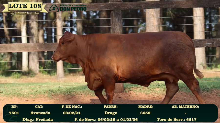 Lote LOTE 108