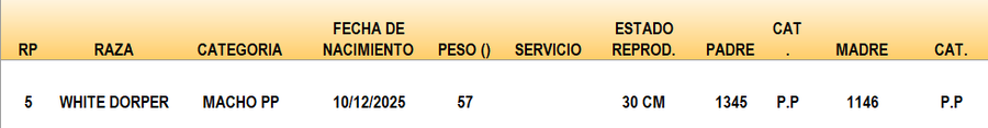 Lote LOTE 29