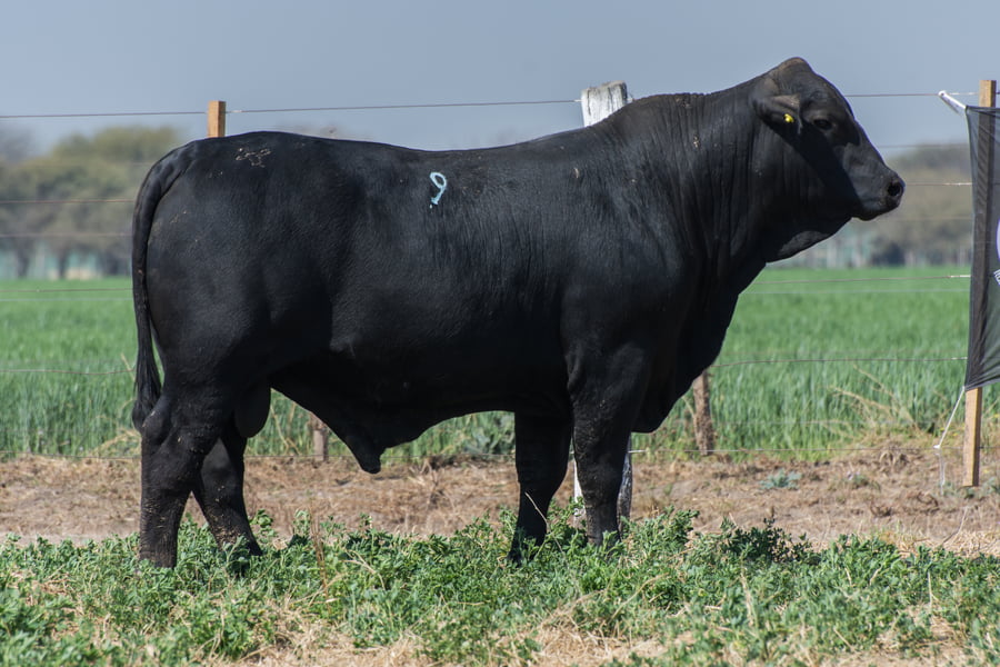 Lote Corral 29 - CABAÑA DON FELIPE