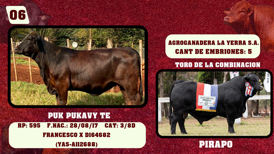 Lote LOTE 6