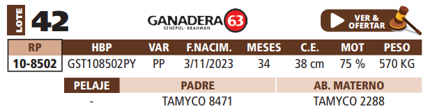 Lote LOTE 42