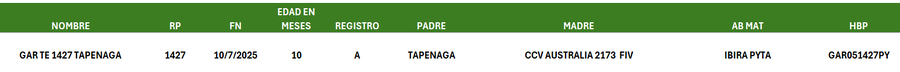 Lote LOTE 32