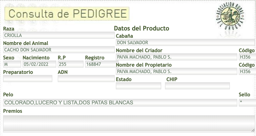 Lote Cacho Don Salvador