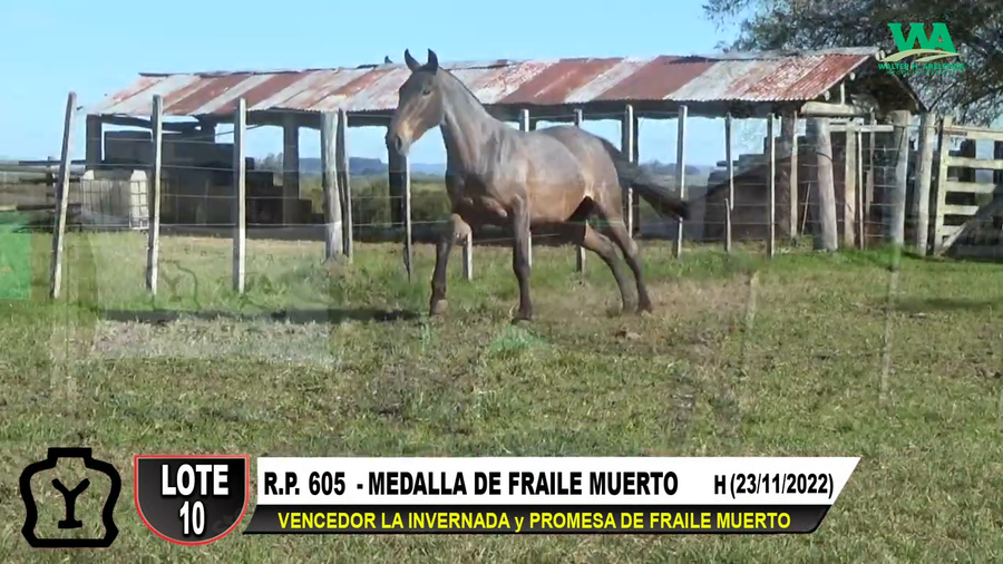 Lote MEDALLA DE FRAILE MUERTO
