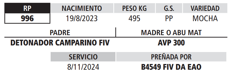 Lote LOTE 2