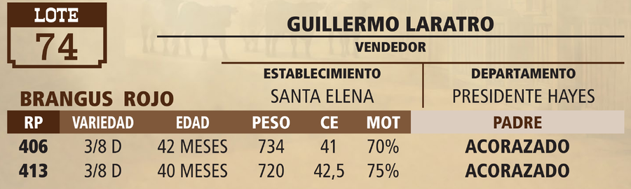 Lote LOTE 74 - VIVO