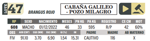 Lote LOTE 47