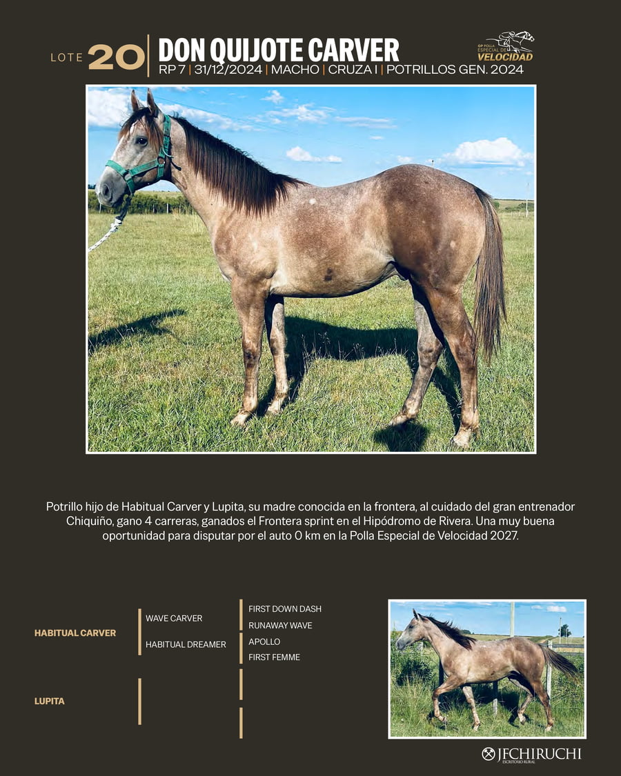 Lote DON QUIJOTE CARVER