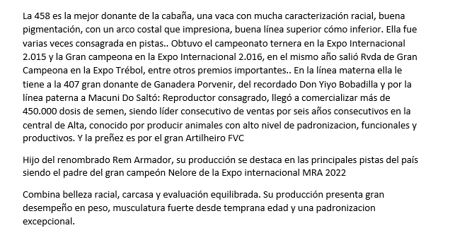 Lote PREÑEZ Nelore a Bozal Expo Internacional 2022 - Lote 6