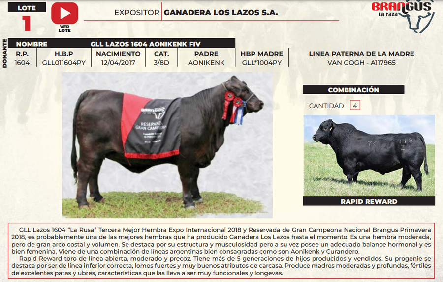 Lote LOTE 1