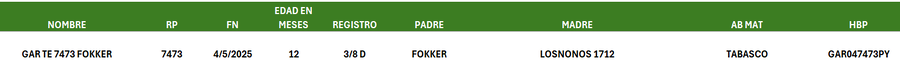 Lote LOTE 41