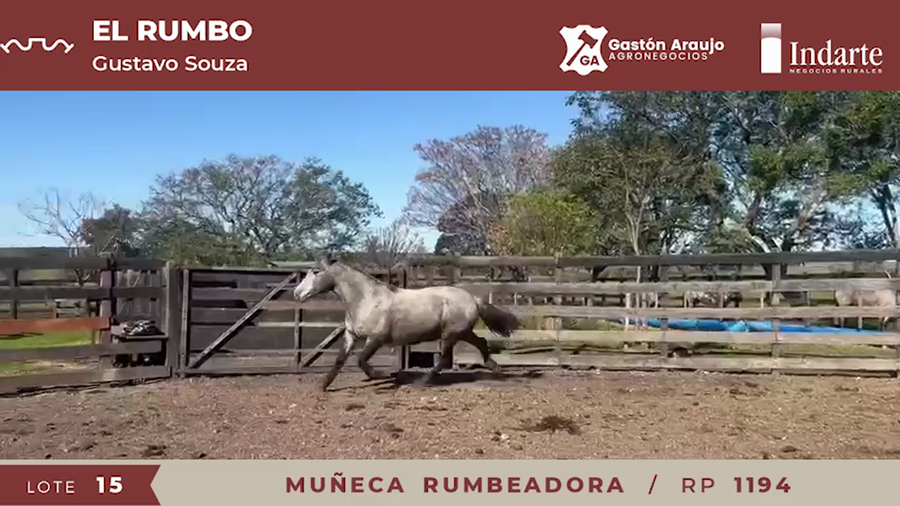Lote MUÑECA RUMBEADORA