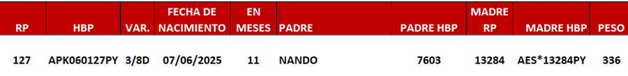 Lote LOTE 14 -DE JUNIOR
