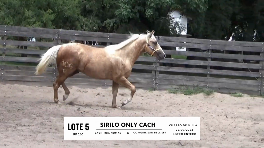 Lote SIRILO ONLY CACH