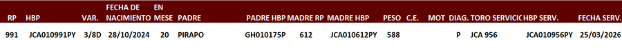 Lote LOTE 5