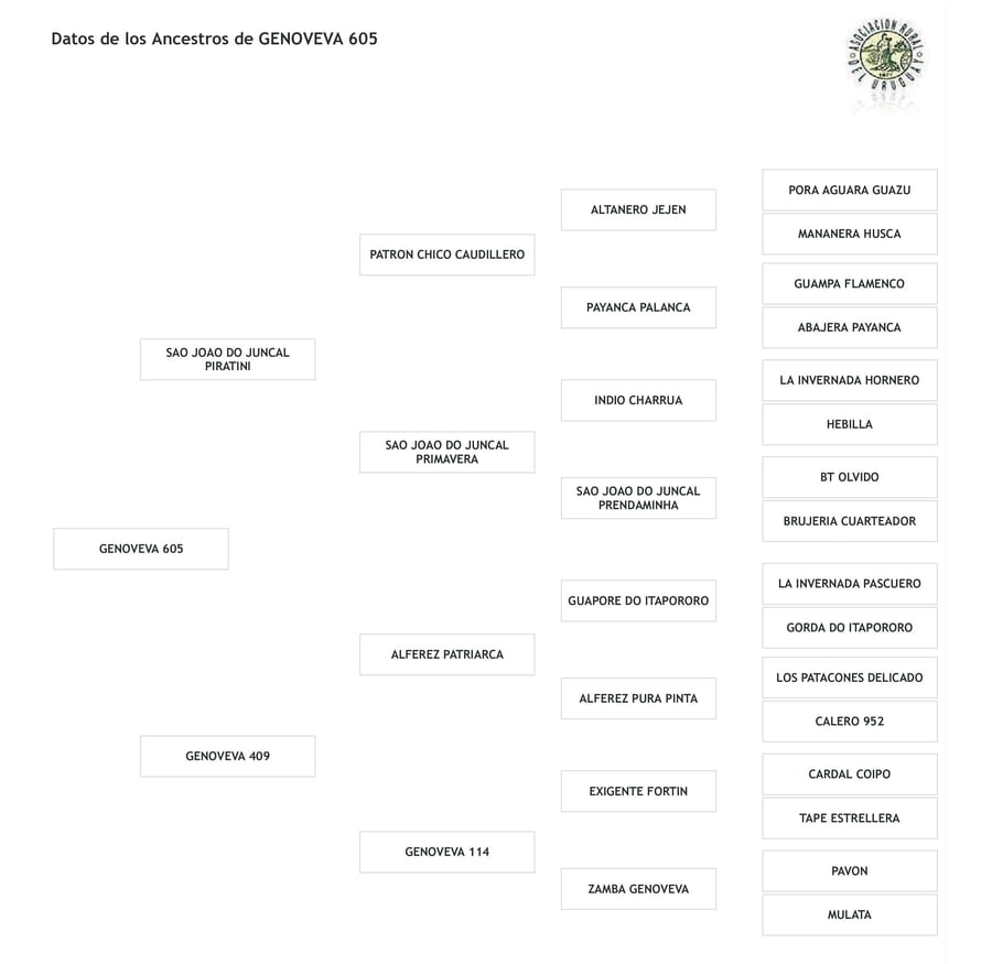 Lote Cabaña "Santa Genoveva" - RP 605 - Genoveva 605