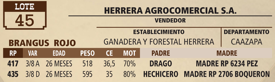Lote LOTE 45 - VIVO