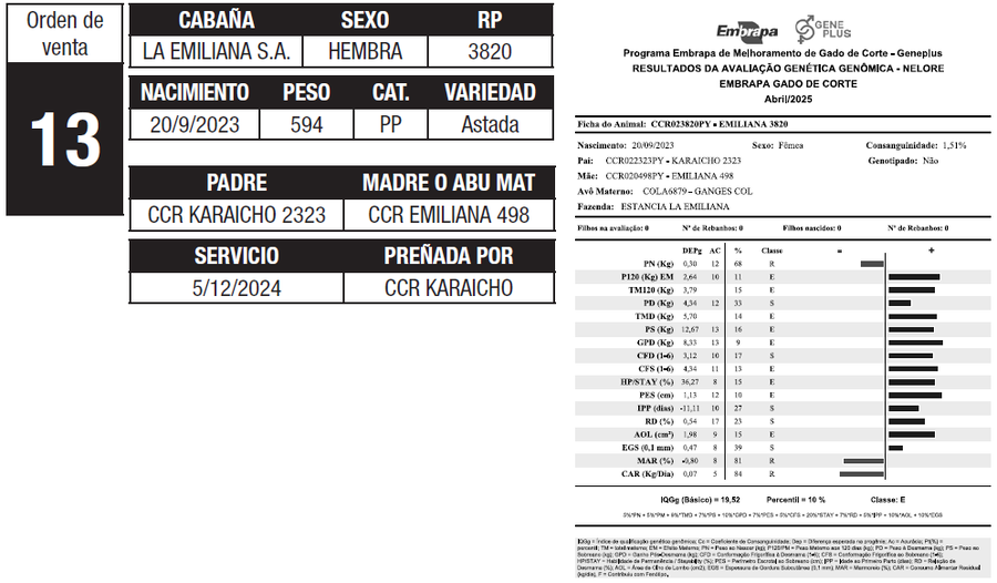 Lote LOTE 13
