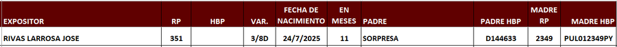 Lote LOTE 18
