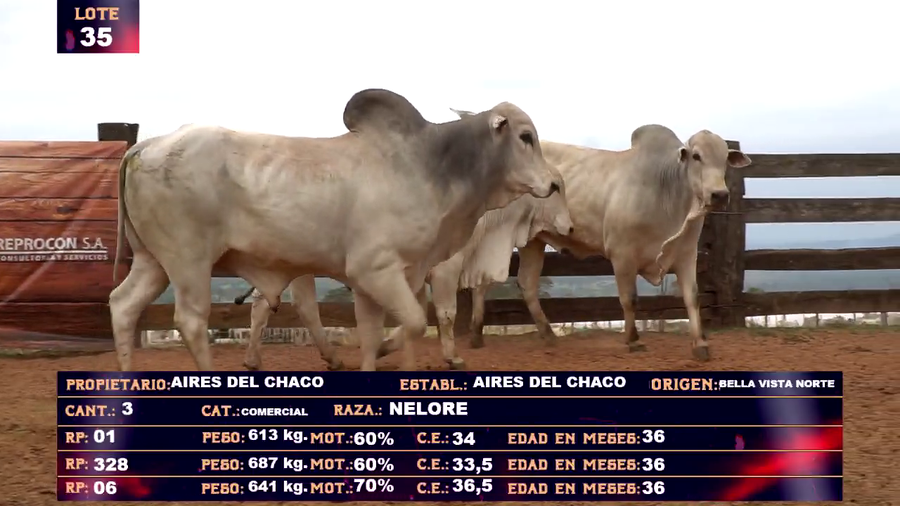 Lote AIRES DEL CHACO SA- LOTE 35