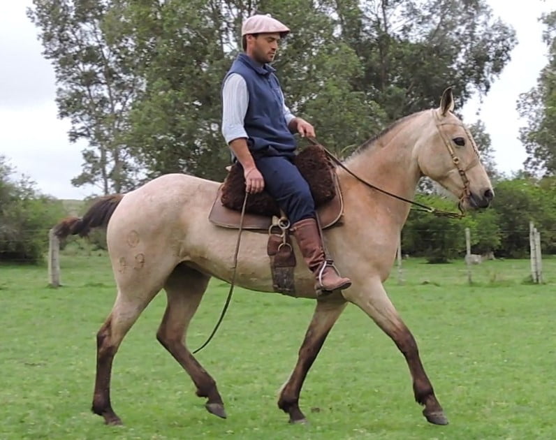 Lote Cabaña "La Pastoril" - RP 99 - Macumbera de La Pastoril