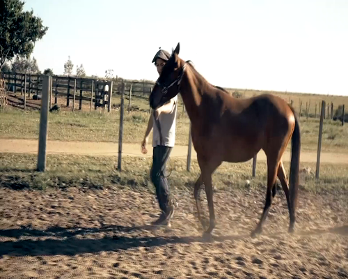 Lote LIVERTAD TROPERA