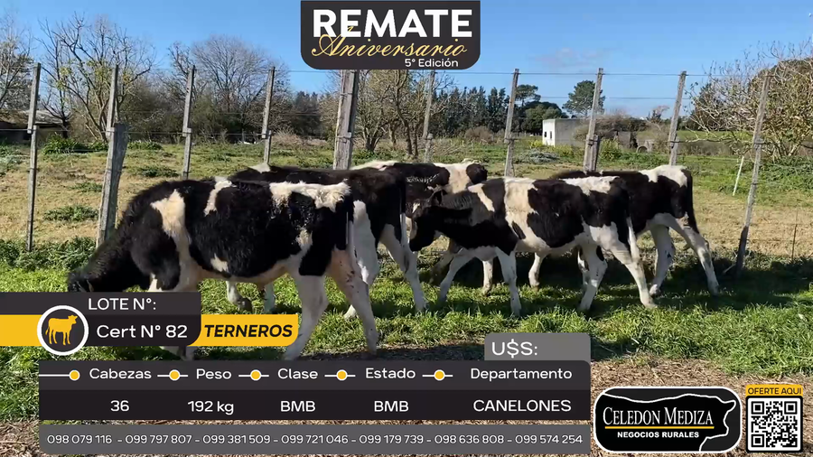 Lote 36 Terneros en ruta 36 km 29500, Canelones