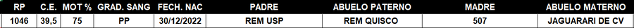 Lote LOTE 56