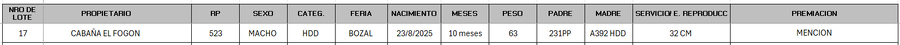 Lote LOTE 17 - BOZAL