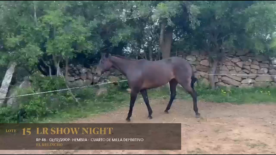 Lote LR Show Night