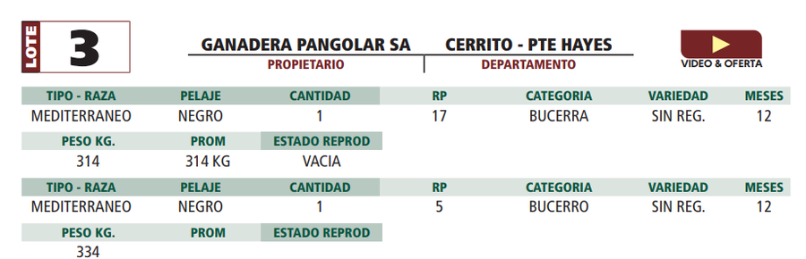 Lote LOTE 3