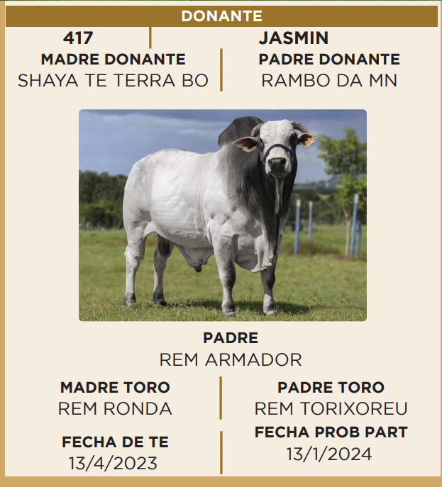 Lote LOTE 37