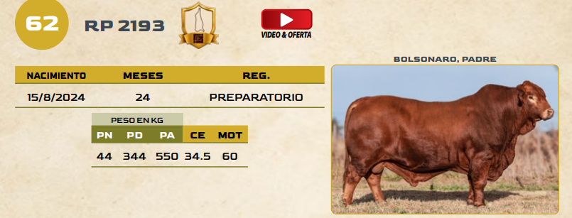 Lote LOTE 62