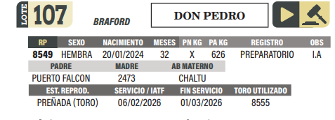 Lote LOTE 107