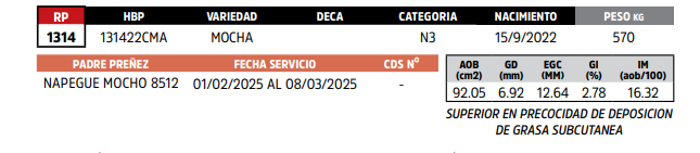 Lote LOTE 78