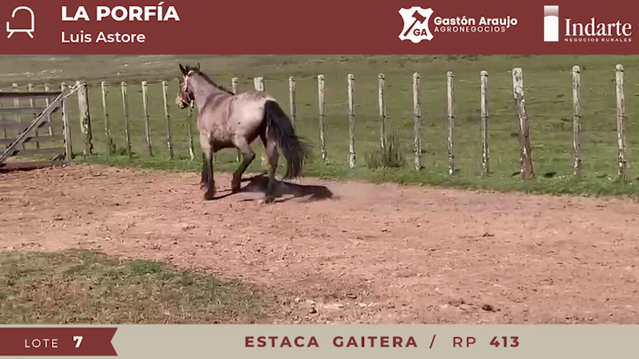 Lote ESTACA GAITERA