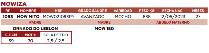 Lote LOTE 19