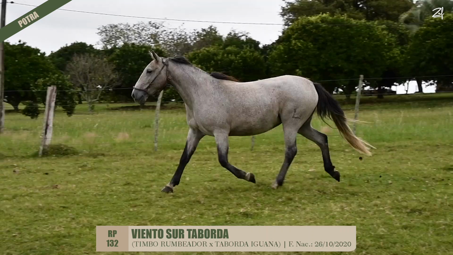 Lote VIENTO SUR TABORDA