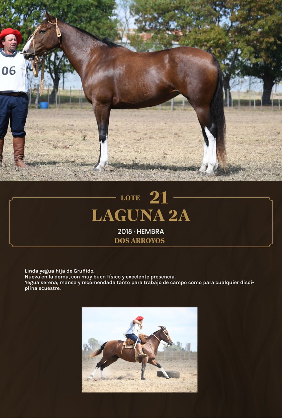 Lote Laguna 2A