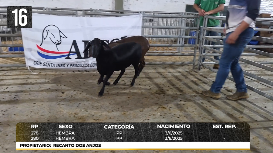 Lote LOTE 16